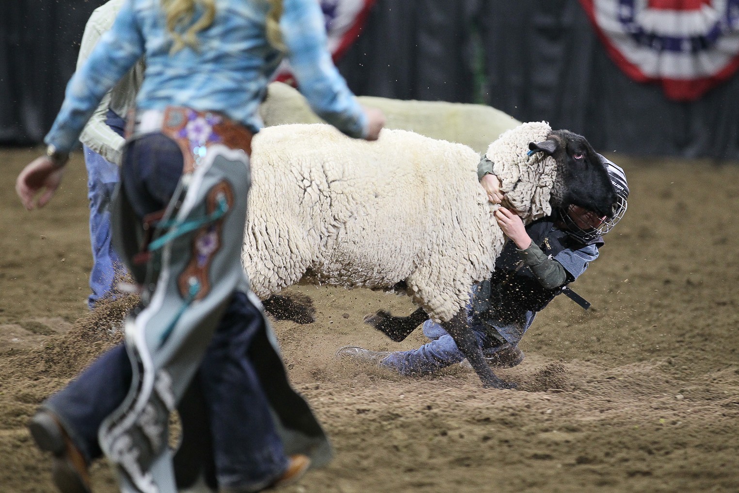 Mutton Bustin' Everyone's Favorite Event at the National Western Stock
