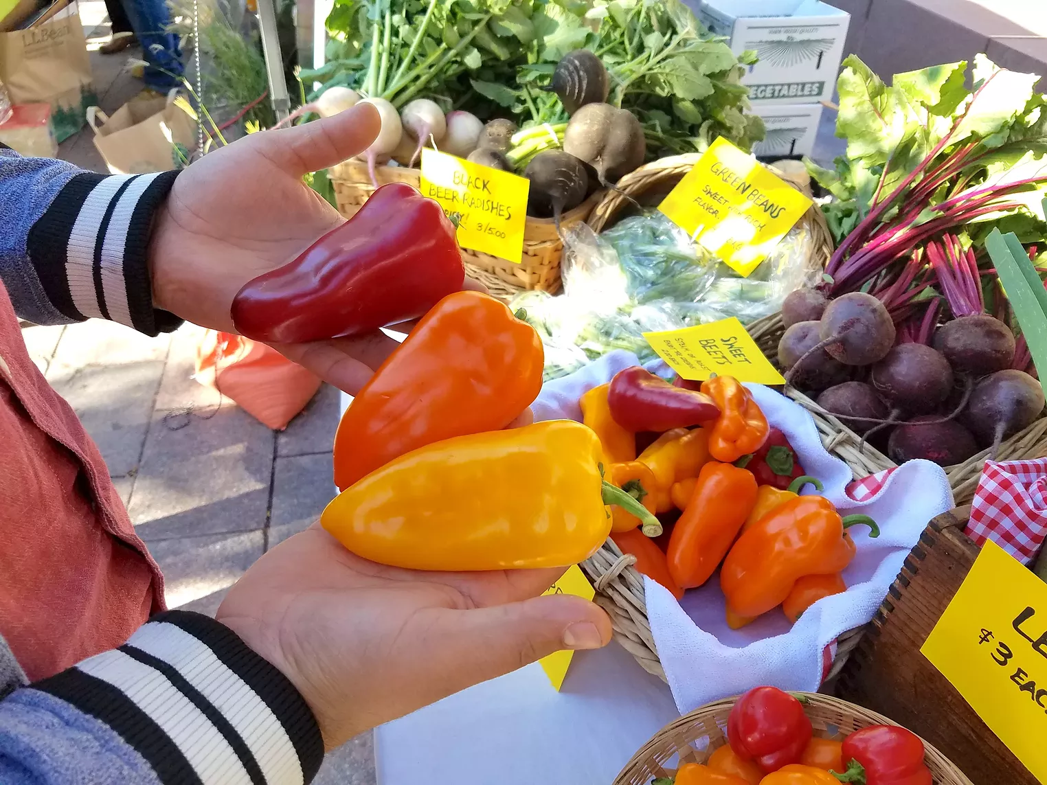 Farmers' Market Finds Squash, Strawberries and Fresh Pasta With