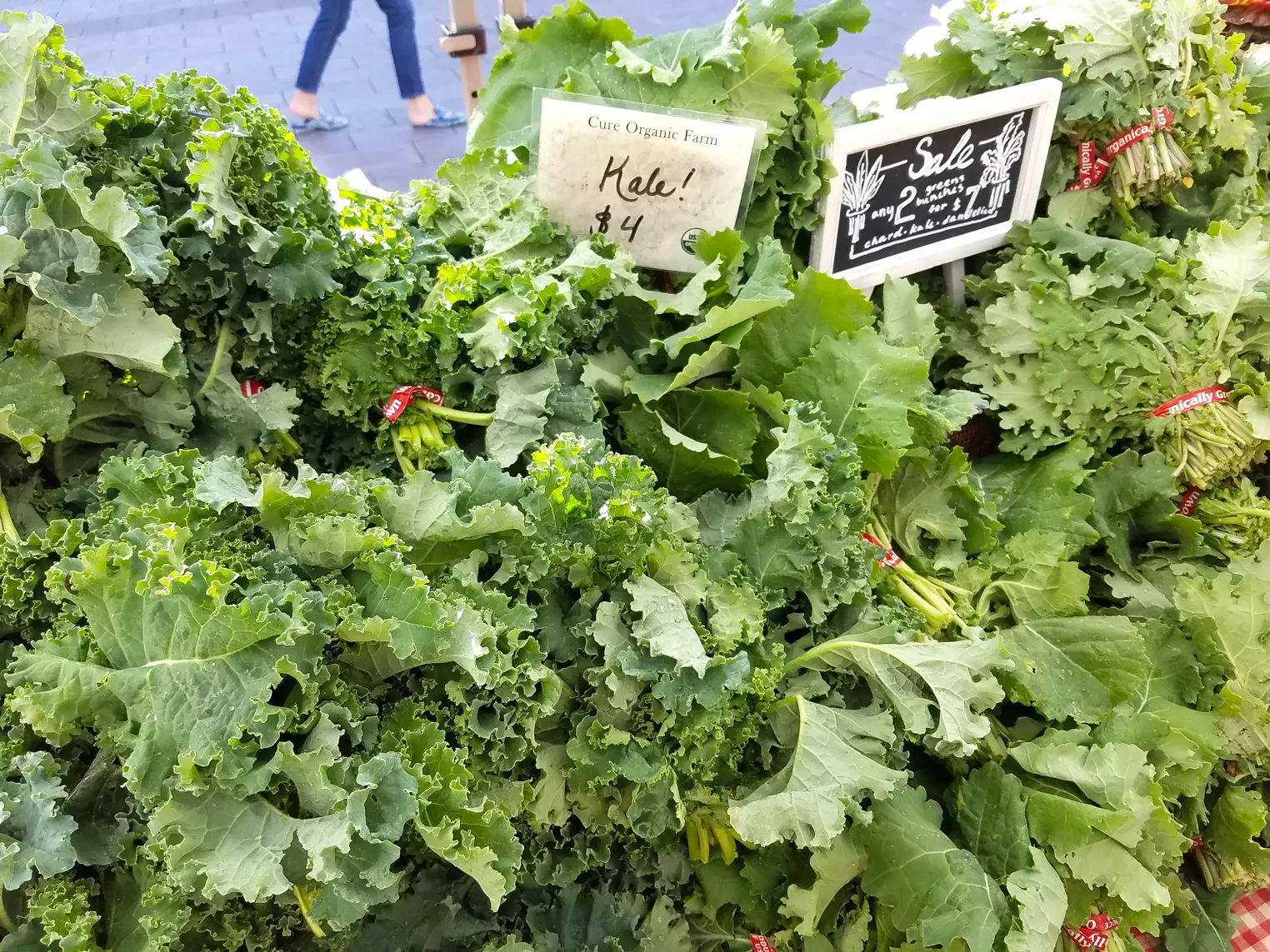 Farmers' Market Finds Squash, Strawberries and Fresh Pasta With