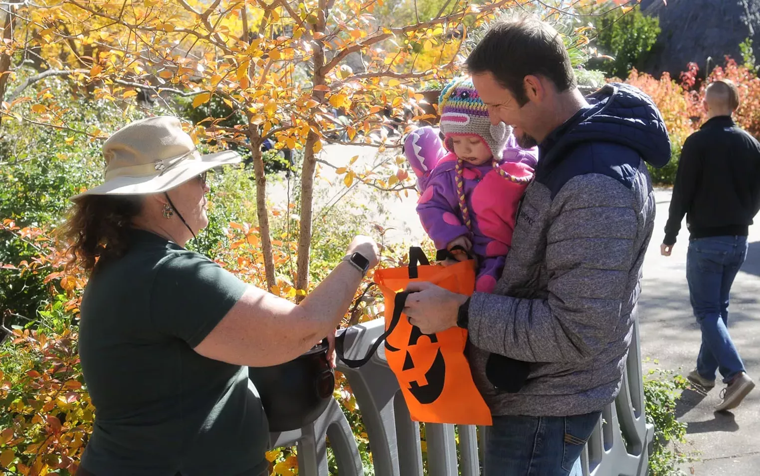 Boo at the Zoo Returns to the Denver Zoo Denver Denver Westword