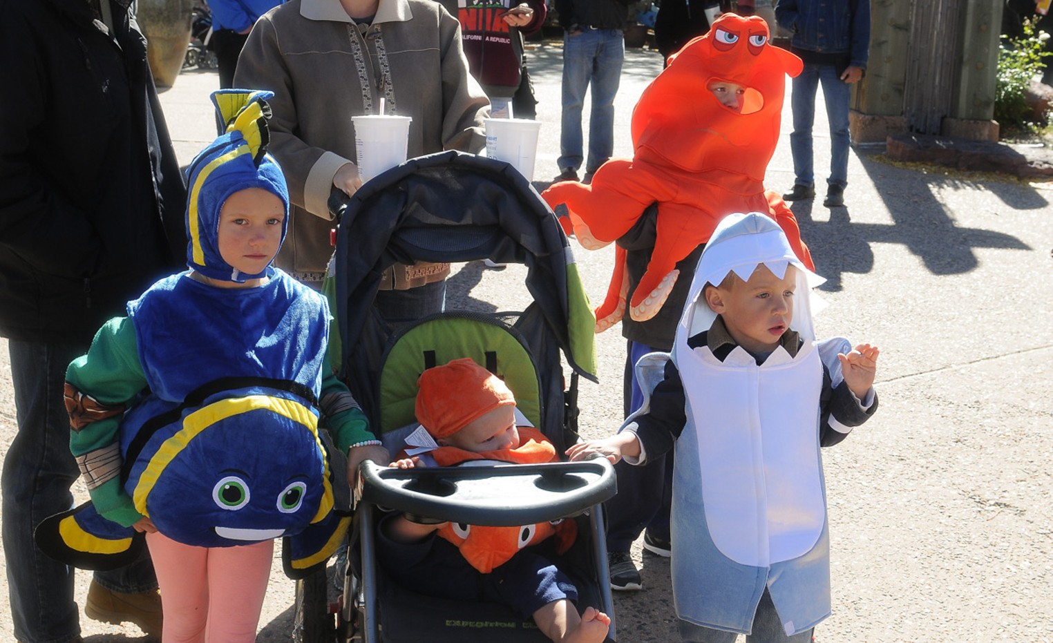 Boo at the Zoo Returns to the Denver Zoo Denver Denver Westword