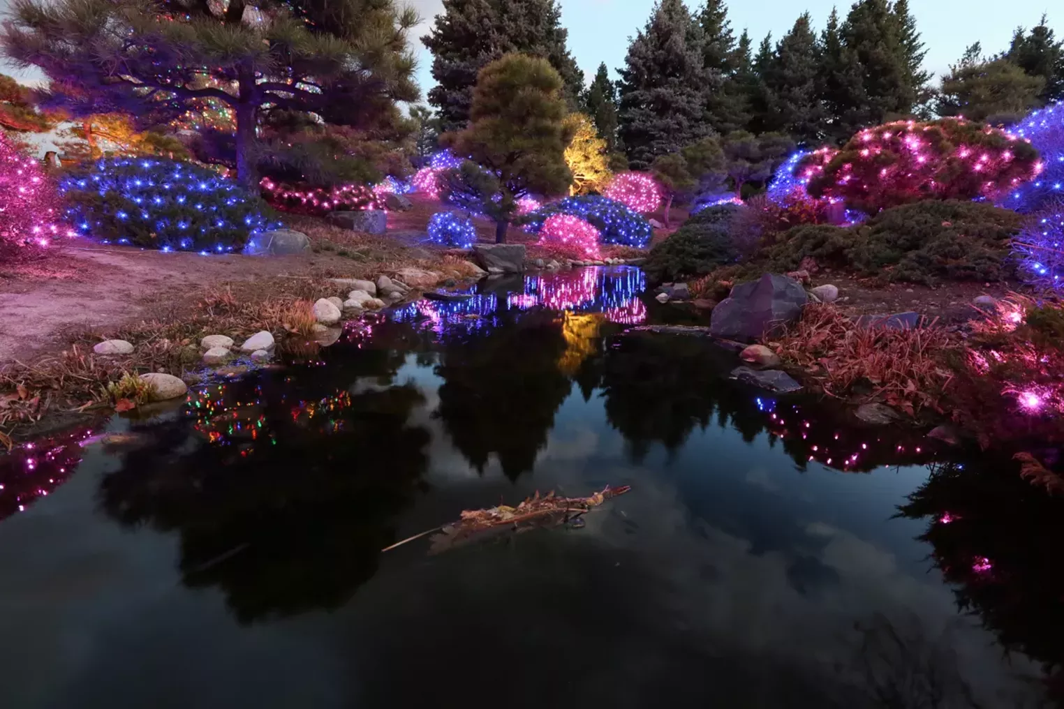 Blossoms of Light Glows at the Denver Botanic Gardens Denver Denver