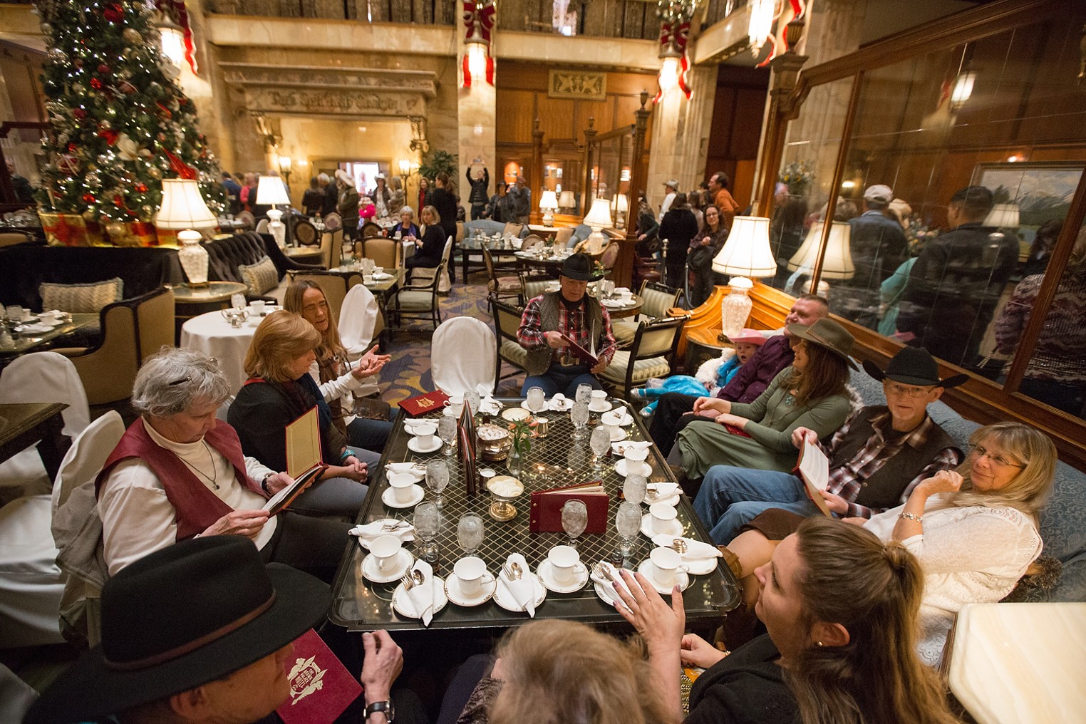 Brown Palace Hotel National Western Stock Show Winning Steers