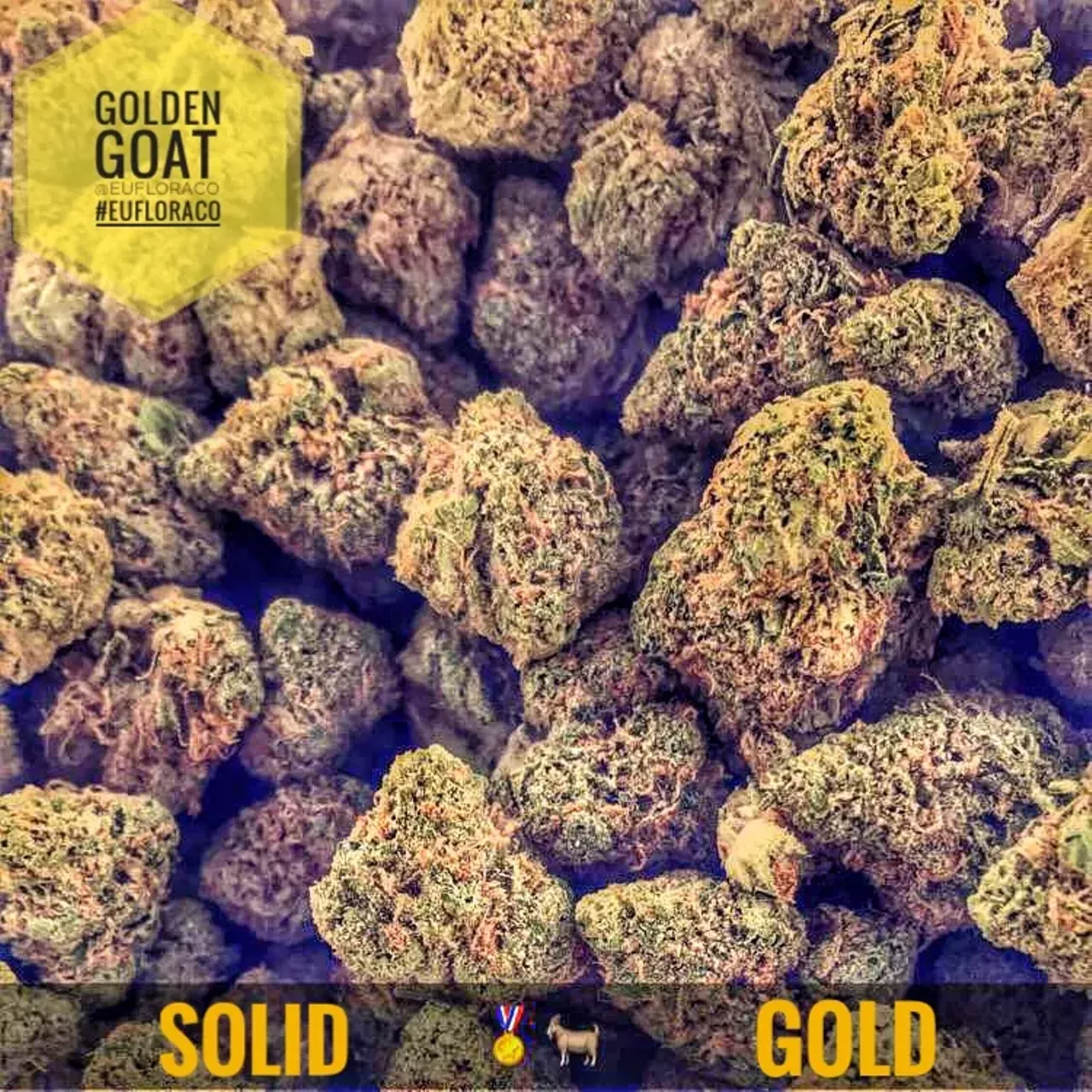 JARS Cannabis Aurora Marijuana Recreational General