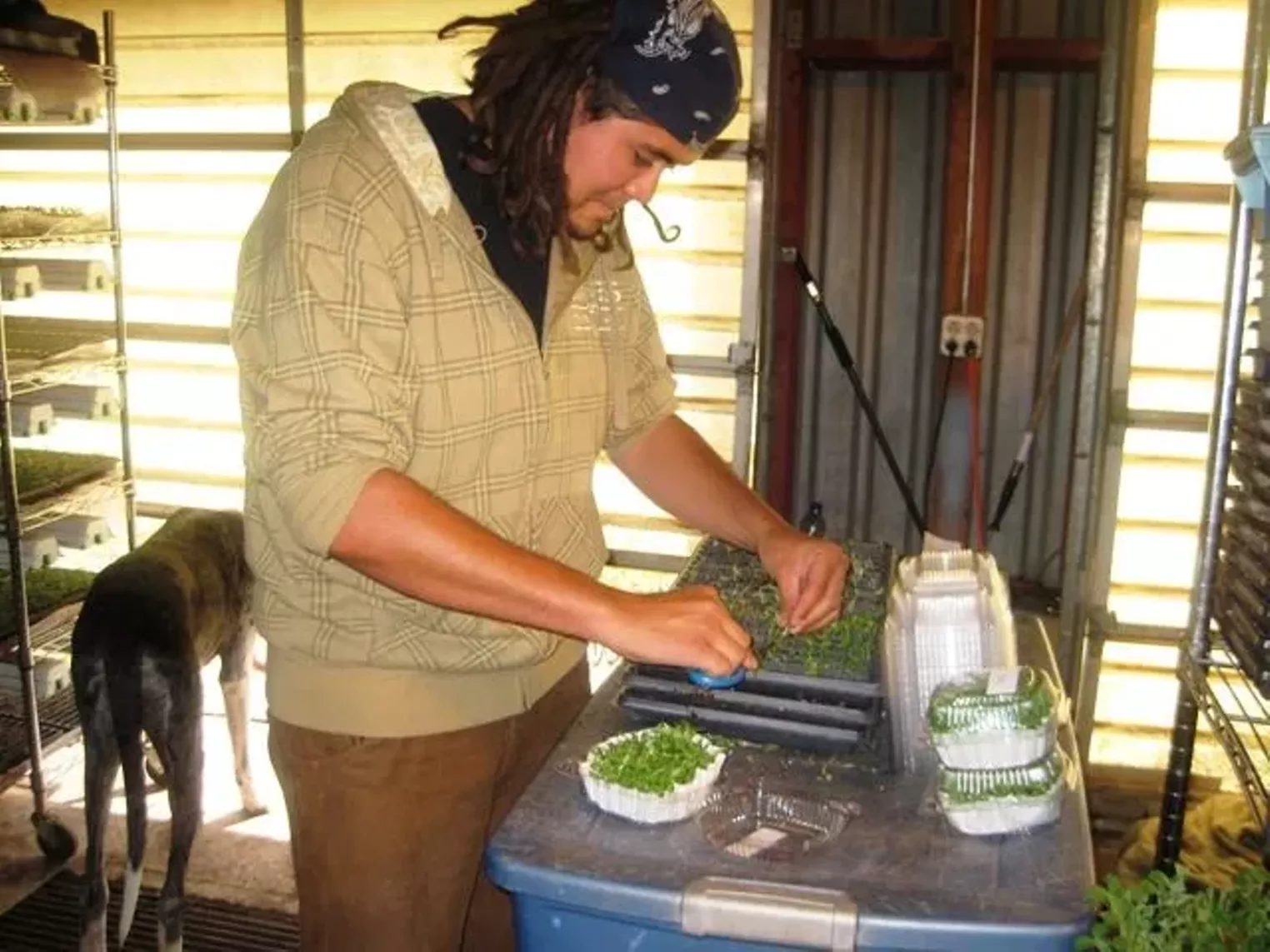 Up Close Fruition Farms Denver Denver Westword The Leading