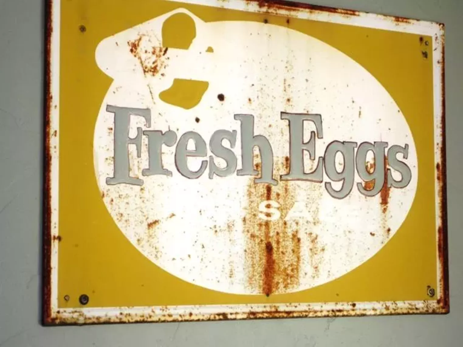 Up Close Fruition Farms Denver Denver Westword The Leading