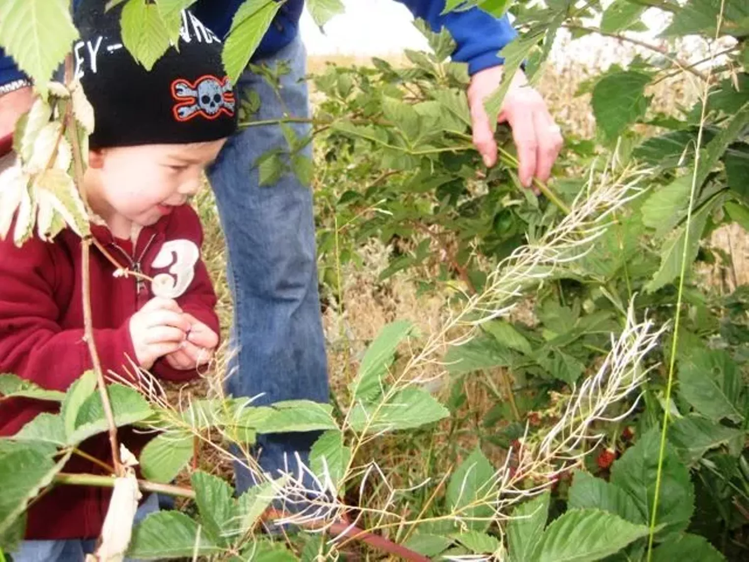 Up Close Fruition Farms Denver Denver Westword The Leading