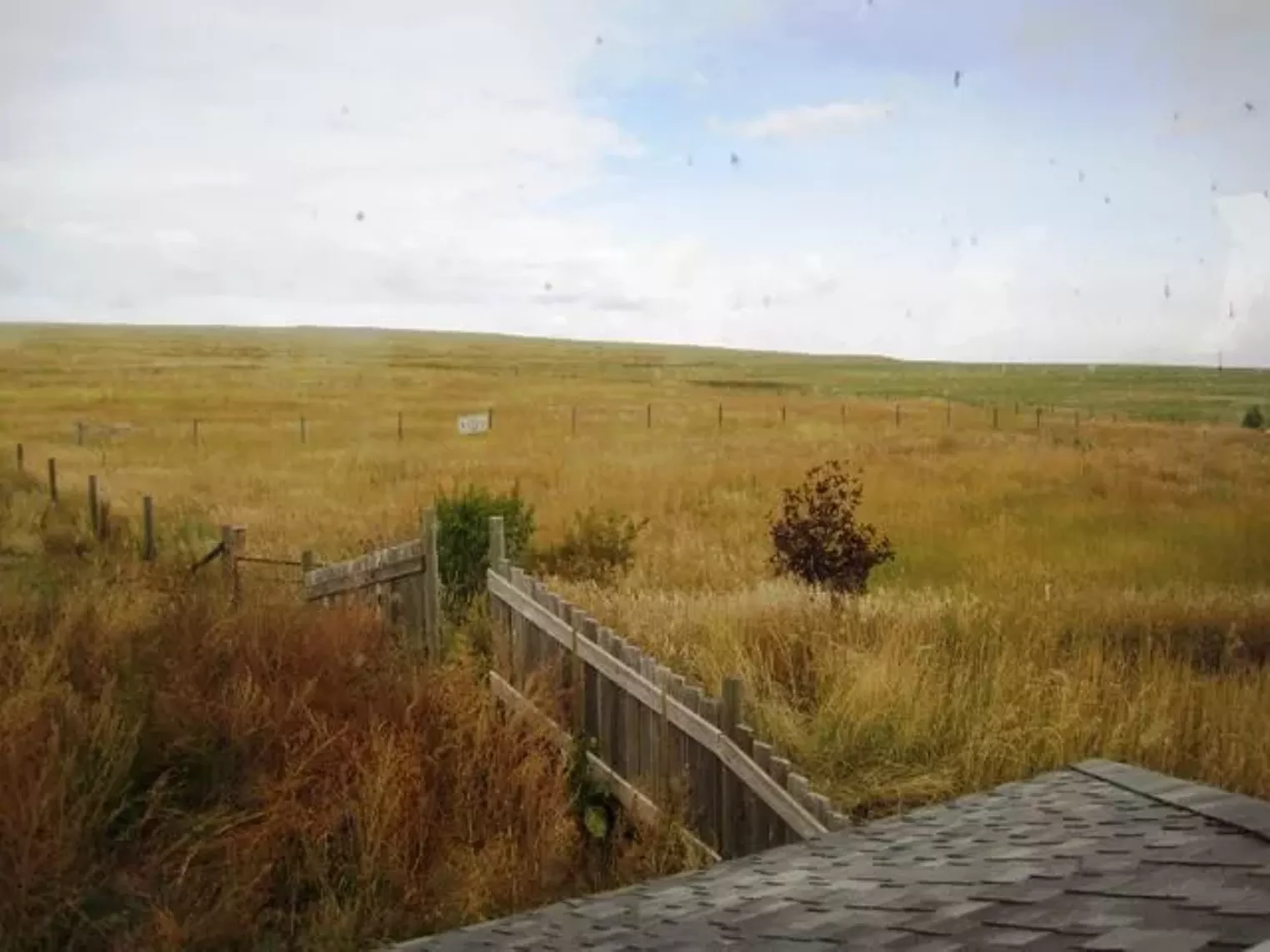 Up Close Fruition Farms Denver Denver Westword The Leading