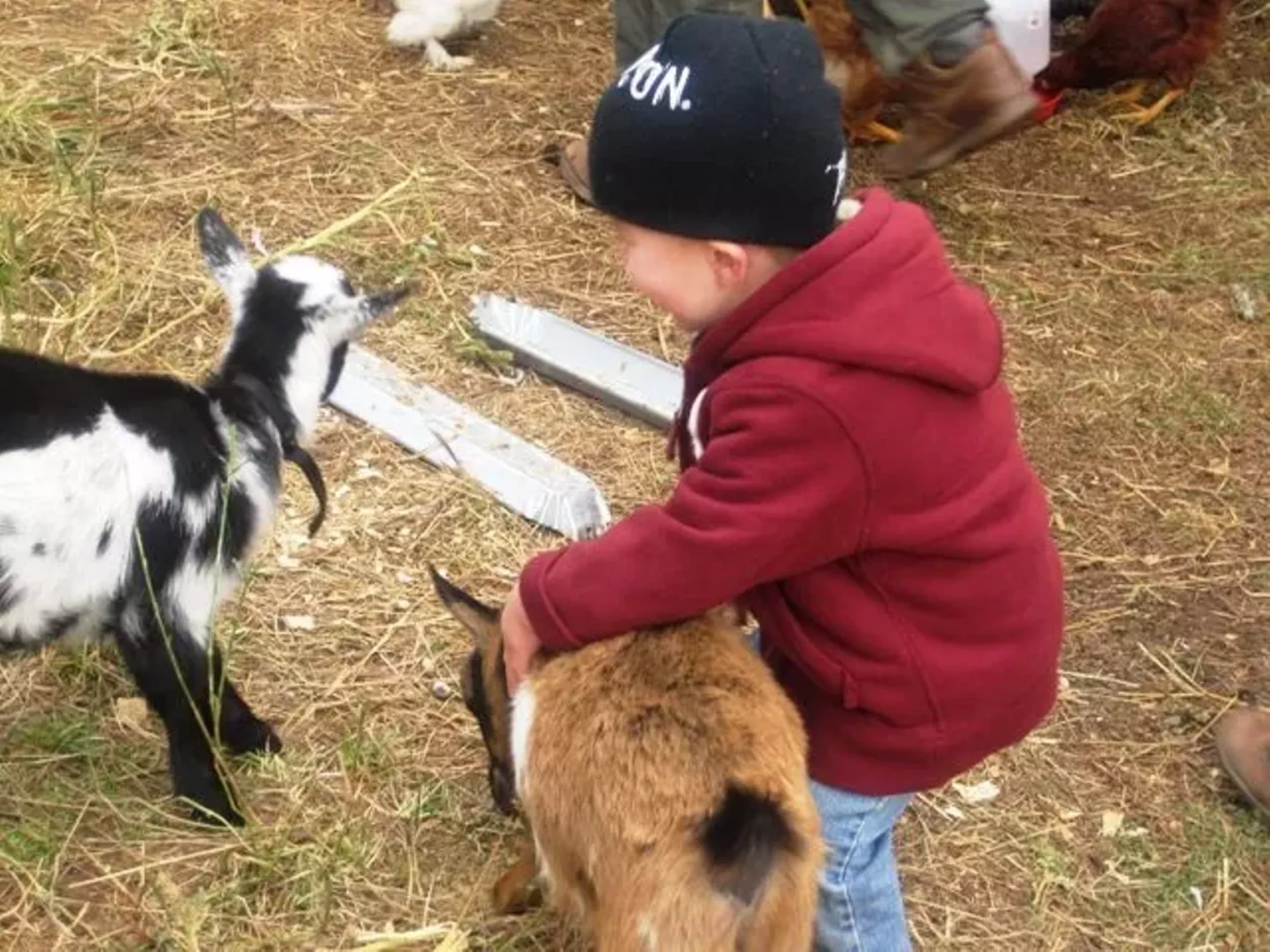 Up Close Fruition Farms Denver Denver Westword The Leading