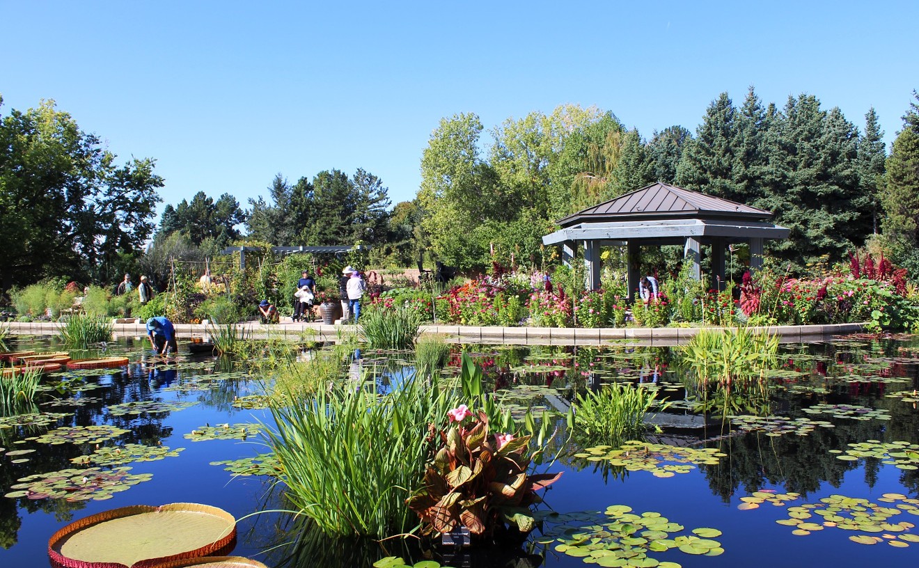 Three Reasons to Love the Denver Botanic Gardens
