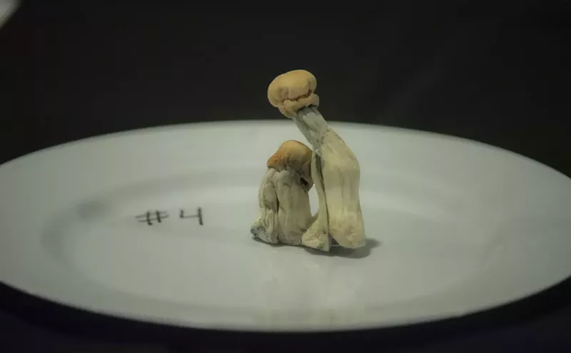 Image: Want to Help Treat People With Psilocybin? This Is What Training Looks Like.