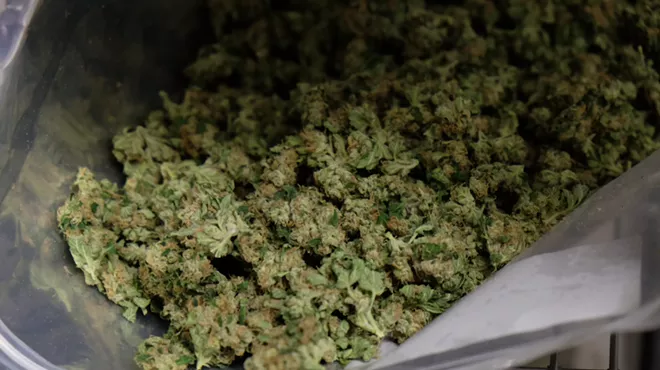 Big bag of weed