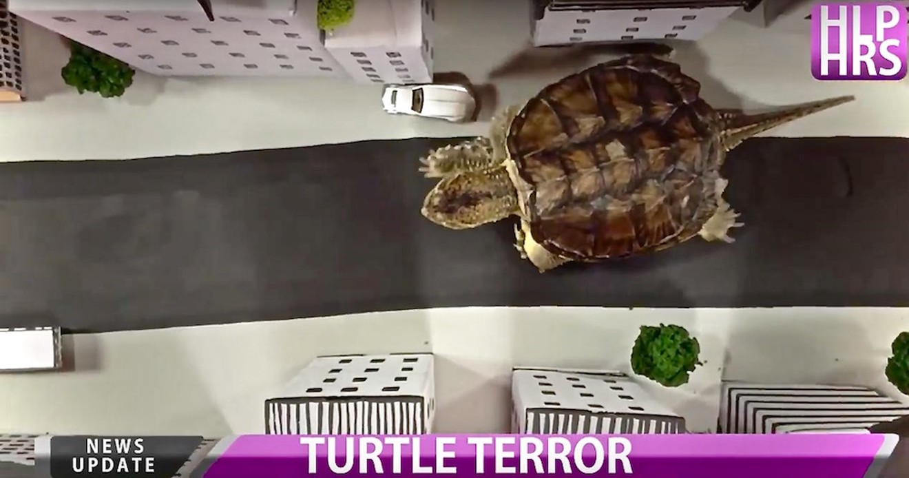Chompsky the turtle terrorizes a fictional city in "Alligatron."