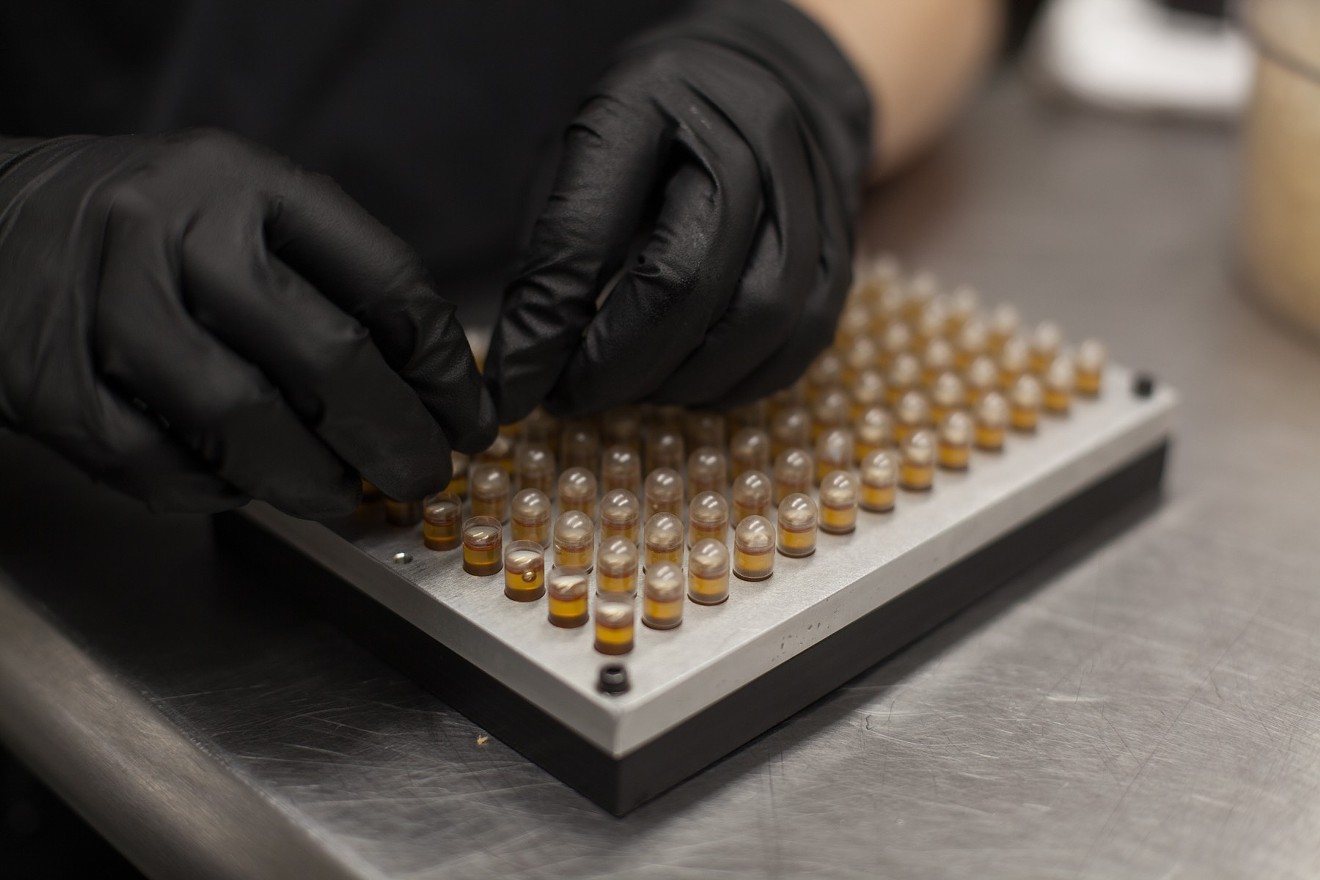 A lab tech closes CBD capsules after they are filled.