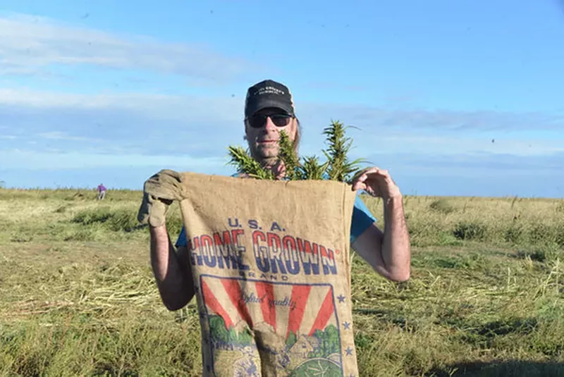 Image: Colorado is a national leader in hemp production, but will it retain that status?