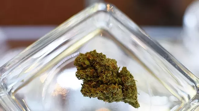 girl scout cookies weed