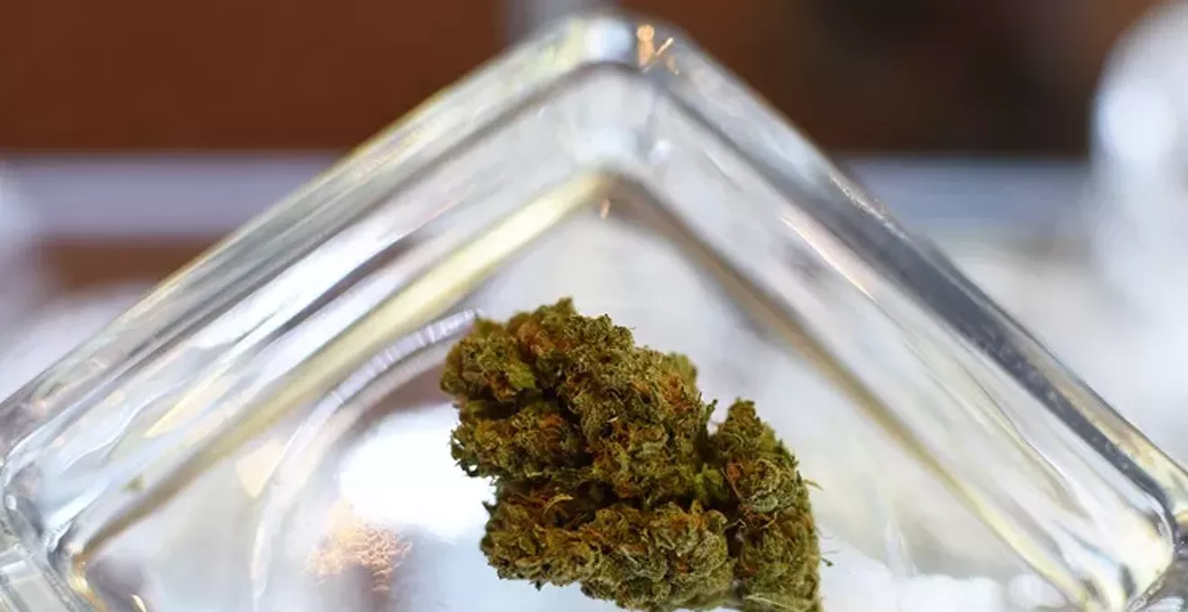 What Happened to "Girl Scout Cookies" Weed?