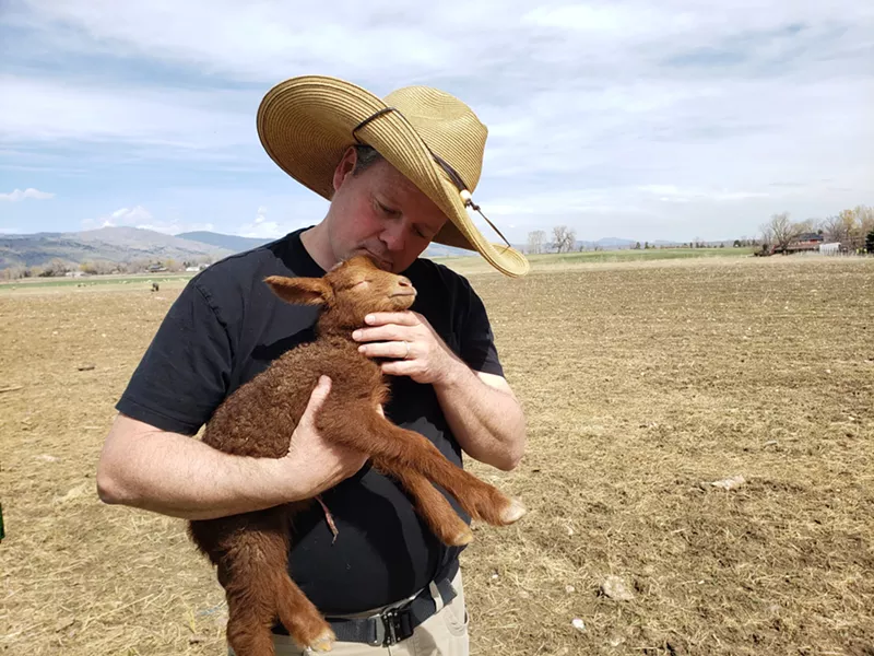 Image: man in hat holding lamb on farm