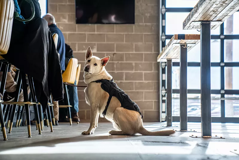 Image: Where do you have to go to get some service, dog?