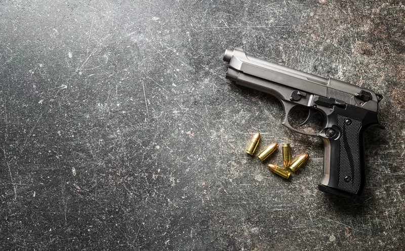 Image: When Gun Days Begin to Outnumber Snow Days