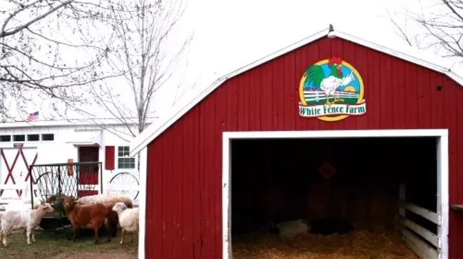 Image: White Fence Farm