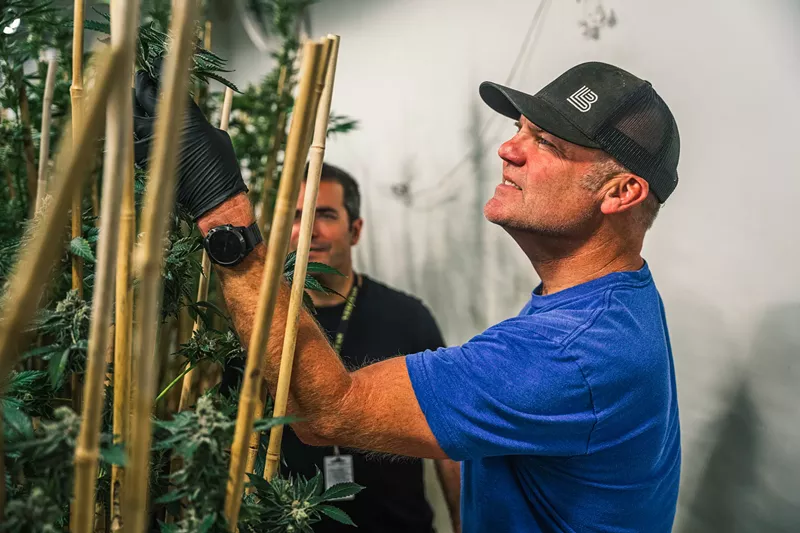 Image: Oskar Blues founder Dale Katechis is bringing his craft beer expertise to cannabis.