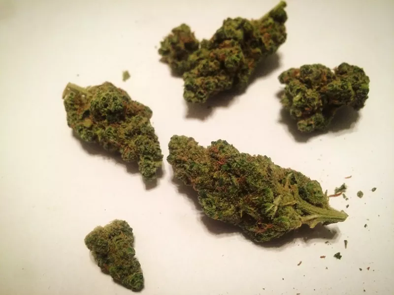Image: Tangie packs a powerful punch.