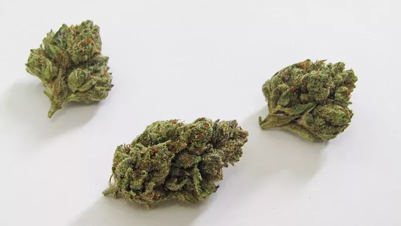 Image: Roll up a joint and take a purr of this funky feline.