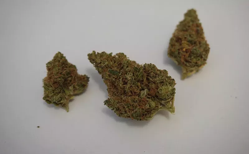 Image: Why Colorado Tokers Love Berry White