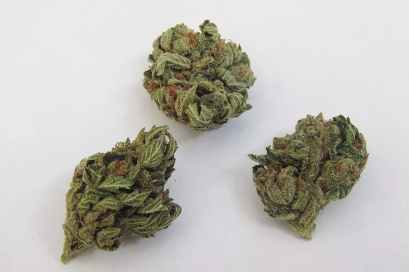 Image: Black Cherry OG carries the flavor and look of a different era.