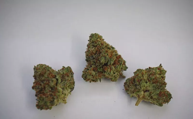 Image: Why Colorado Tokers Love Blackberry Kush