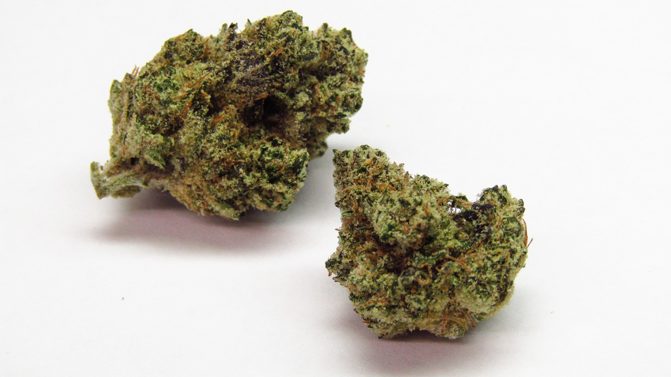 Blue City Diesel might not rev your motor like a typical Diesel strain.