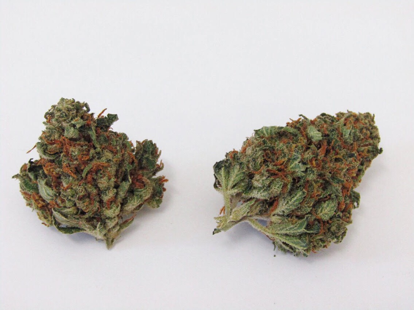Blue Dragon is a fire strain with a cold backhand.