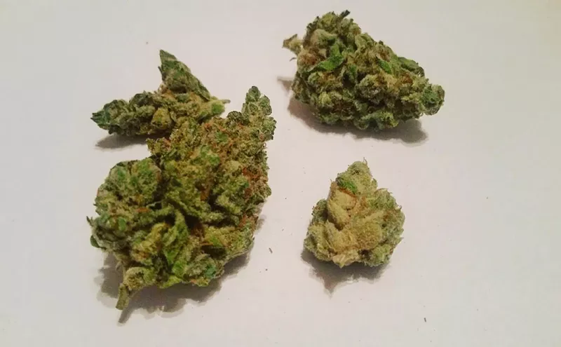 Image: Why Colorado Tokers Love Blueberry Headband