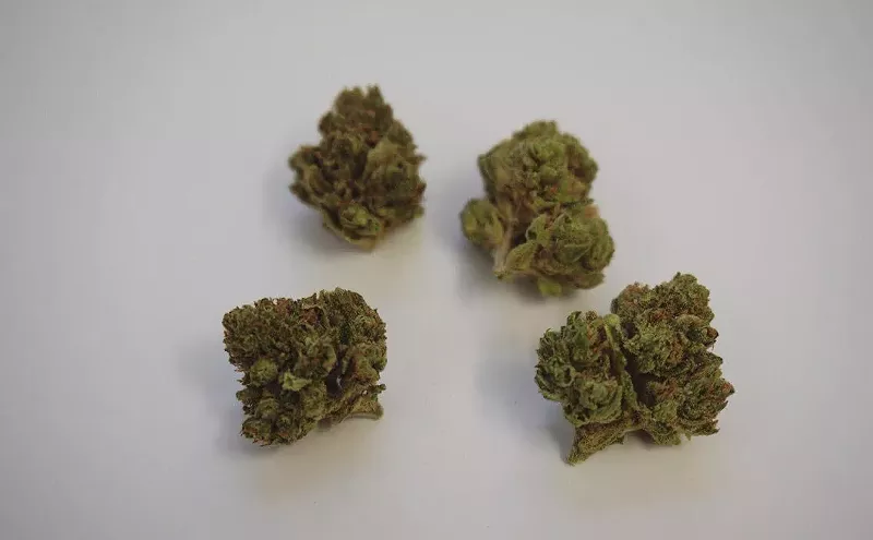 Image: Why Colorado Tokers Love Booger