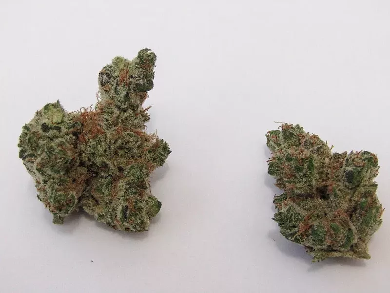 Image: Freshen your sober mouth with Cactus Breath.