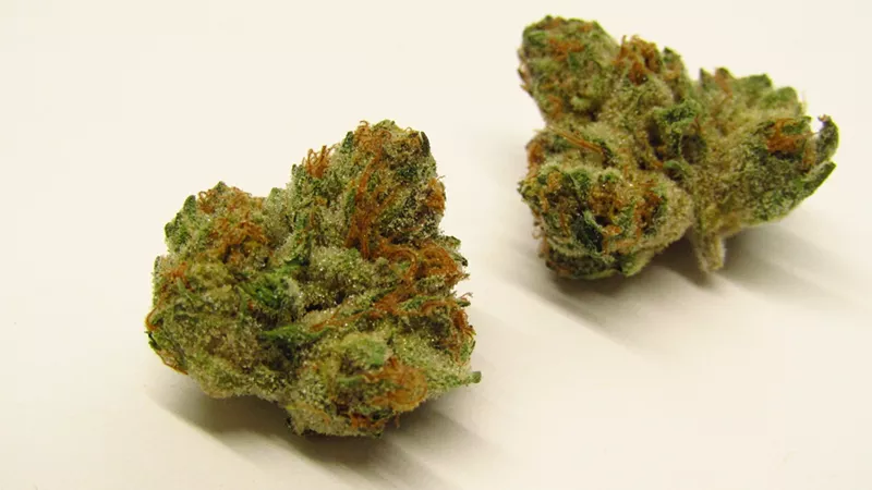 Image: bright green cannabis buds