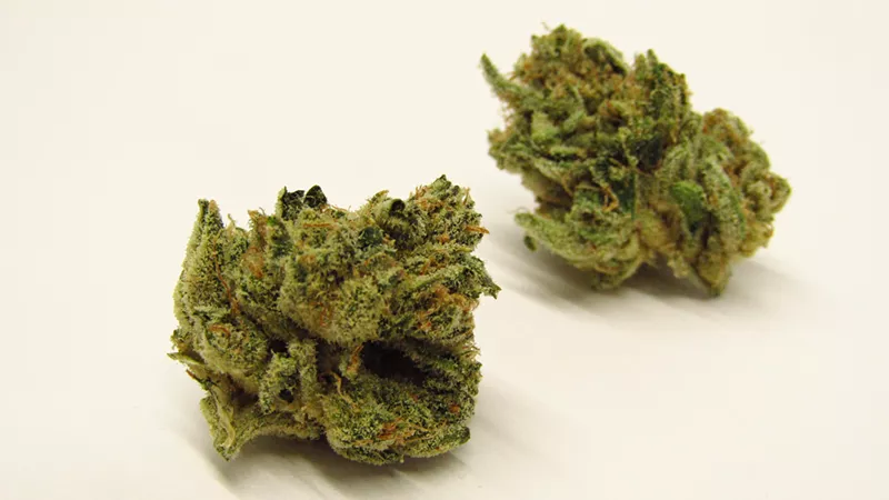 Image: Bright green marijuana buds