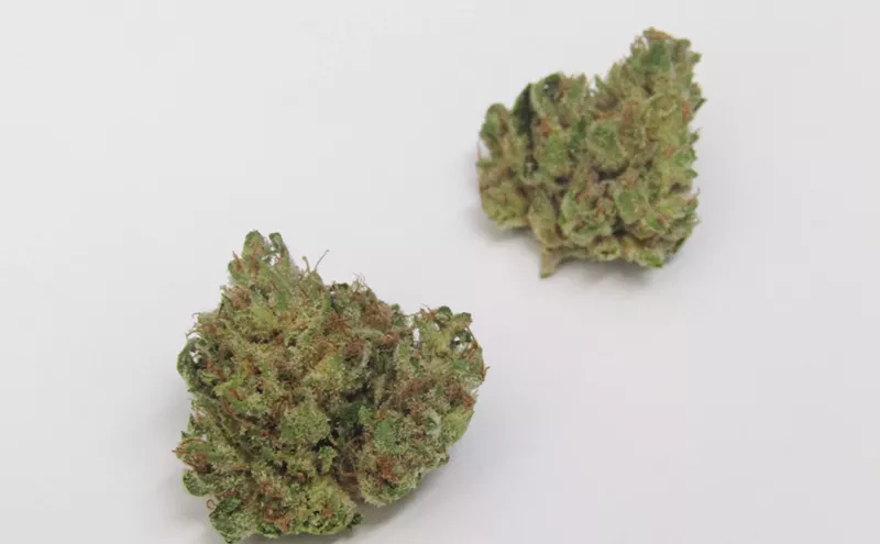 Image: Why Colorado Tokers Love Cheesy Rider