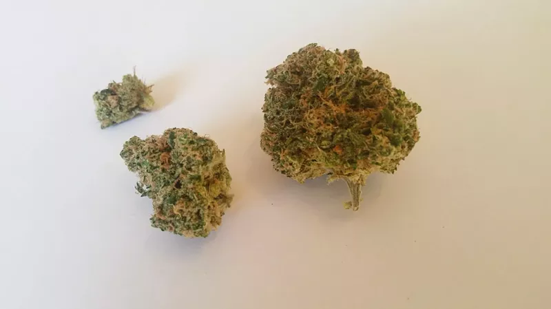 Image: Cannabis might not be the first illegal import that comes to mind when mentioning Colombia.