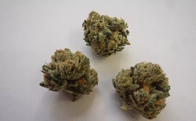 Image: Why Colorado Tokers Love Commerce City Kush