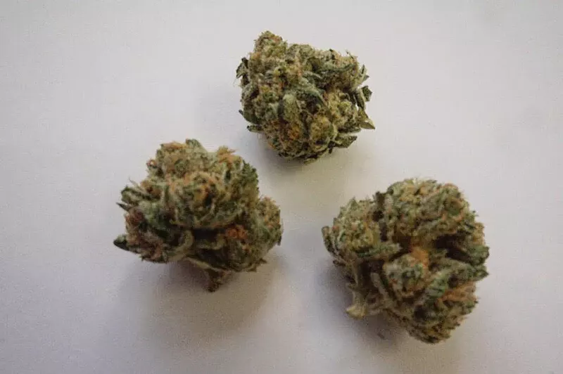 Image: Represent with Commerce City Kush.