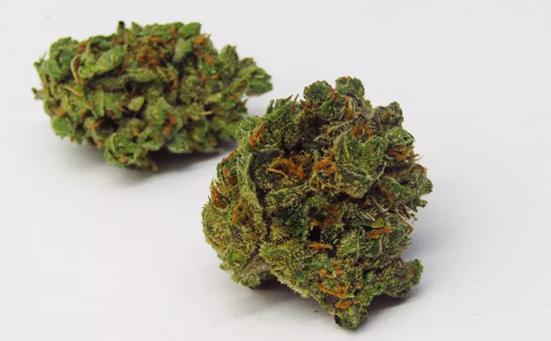 Image: Why Colorado Tokers Love Crazy Glue