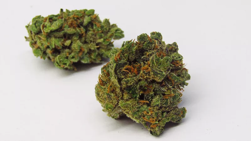Image: A couple of wild and crazy nugs.