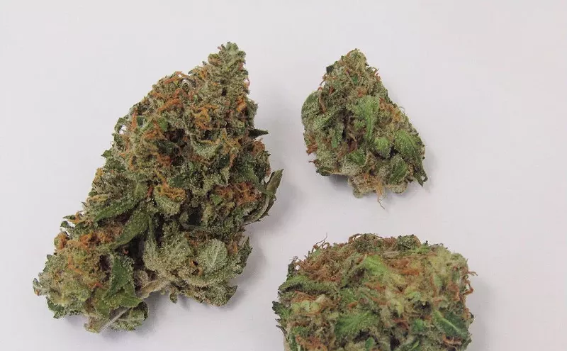 Image: Why Colorado Tokers Love Critical Mass