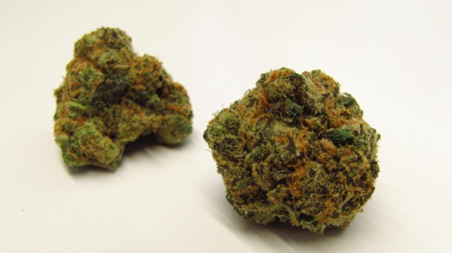 Round dark-green marijuana buds