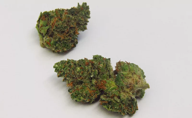 Image: Why Colorado Tokers Love Doctor Bubba