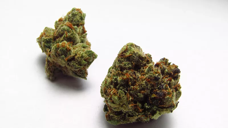 Image: Unlike the legendary coach, Don Shula OG can be trifled with.