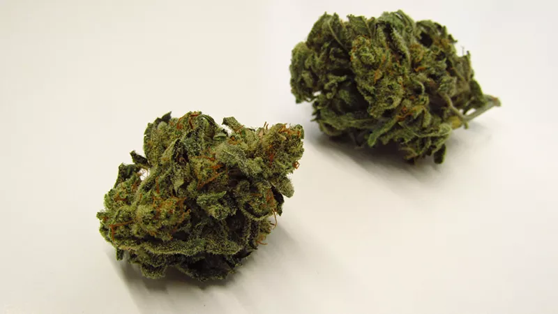 Image: Loose green marijuana buds