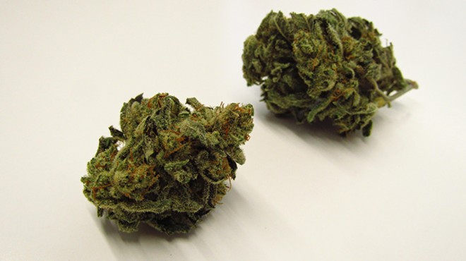 Loose green marijuana buds